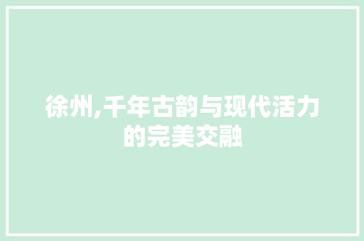 徐州,千年古韵与现代活力的完美交融 英文谷歌算法