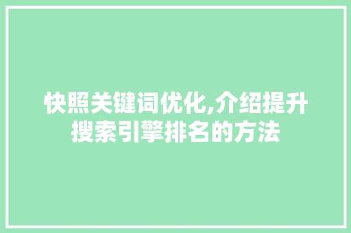 快照关键词优化,介绍提升搜索引擎排名的方法