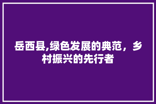 岳西县,绿色发展的典范，乡村振兴的先行者