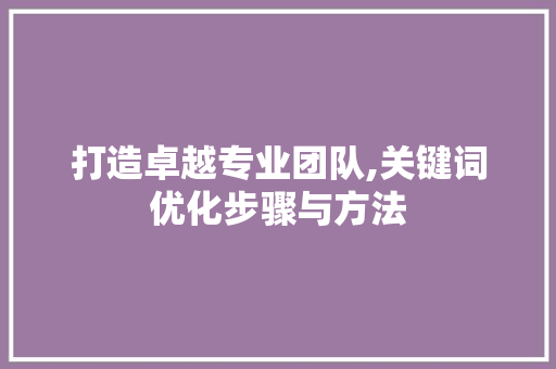 打造卓越专业团队,关键词优化步骤与方法