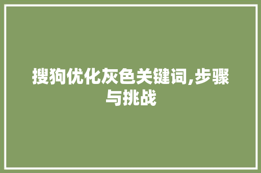 搜狗优化灰色关键词,步骤与挑战