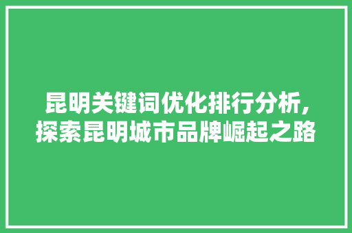昆明关键词优化排行分析,探索昆明城市品牌崛起之路 网站优化