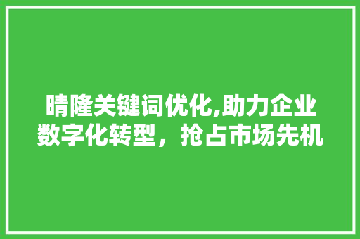 晴隆关键词优化,助力企业数字化转型，抢占市场先机 小程序开发