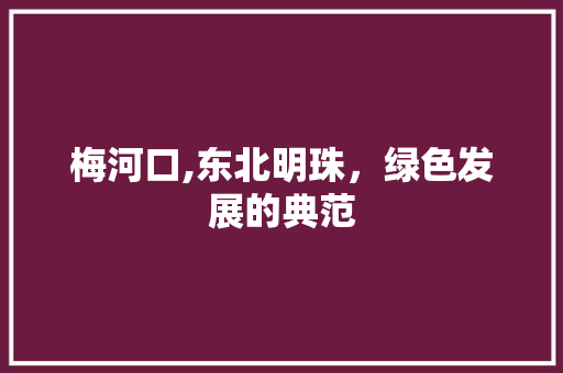 梅河口,东北明珠，绿色发展的典范 网站优化