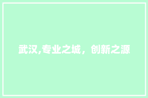 武汉,专业之城，创新之源
