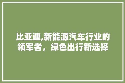 比亚迪,新能源汽车行业的领军者，绿色出行新选择