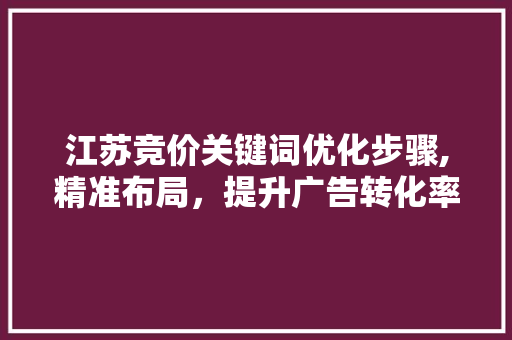 江苏竞价关键词优化步骤,精准布局，提升广告转化率 seo技术