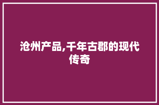 沧州产品,千年古郡的现代传奇 英文谷歌算法