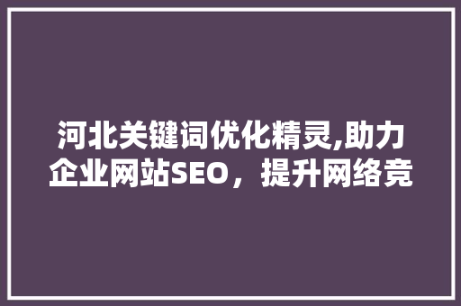 河北关键词优化精灵,助力企业网站SEO，提升网络竞争力 网站优化