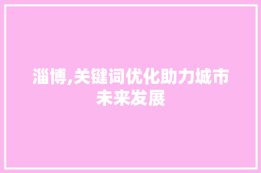 淄博,关键词优化助力城市未来发展 seo技术