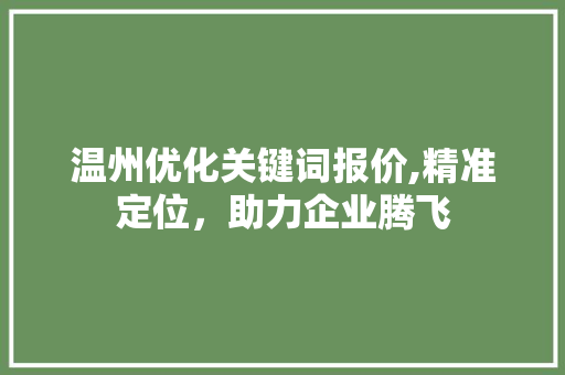温州优化关键词报价,精准定位，助力企业腾飞 网站开发