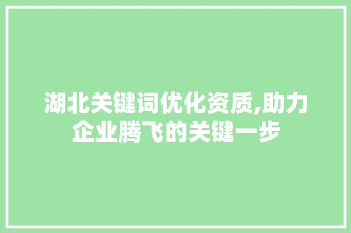 湖北关键词优化资质,助力企业腾飞的关键一步 网站优化
