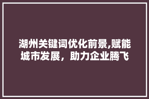 湖州关键词优化前景,赋能城市发展，助力企业腾飞 小程序开发