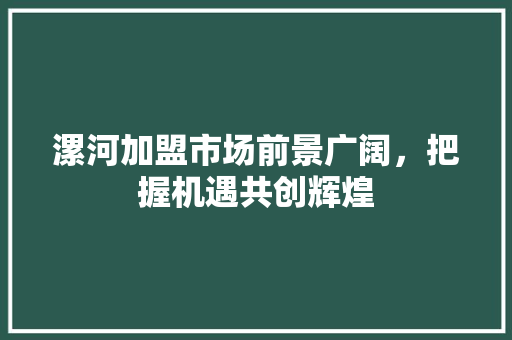 漯河加盟市场前景广阔，把握机遇共创辉煌