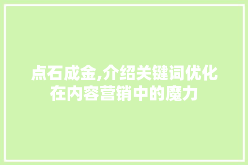 点石成金,介绍关键词优化在内容营销中的魔力 网站开发