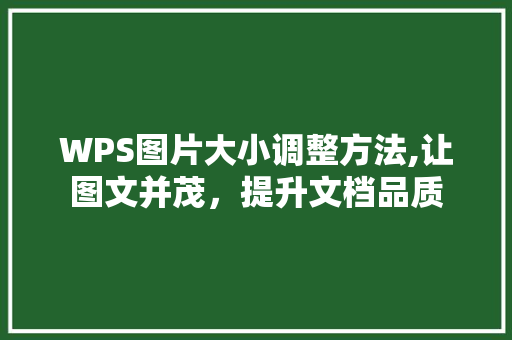 WPS图片大小调整方法,让图文并茂，提升文档品质