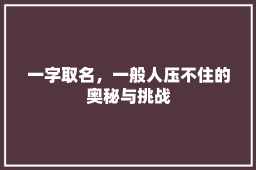 一字取名，一般人压不住的奥秘与挑战 360搜优化