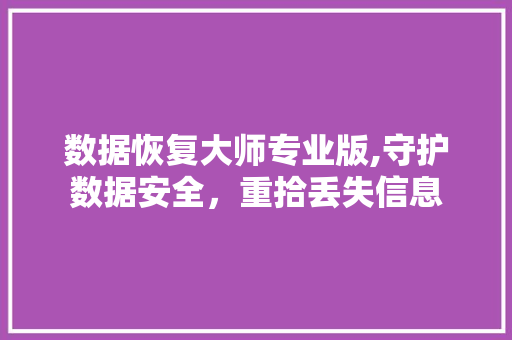 数据恢复大师专业版,守护数据安全，重拾丢失信息