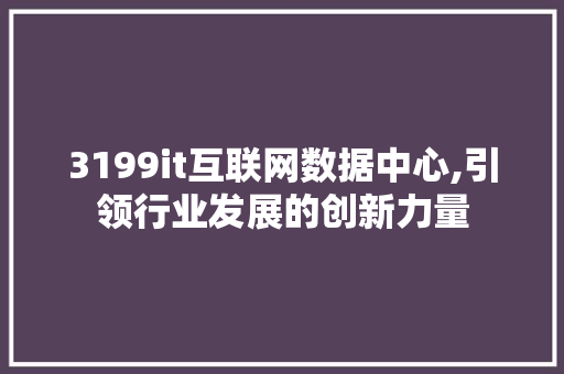3199it互联网数据中心,引领行业发展的创新力量