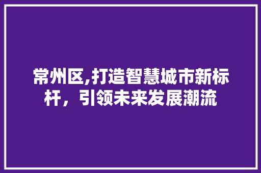 常州区,打造智慧城市新标杆，引领未来发展潮流 常州区,打造智慧城市新标杆，引领未来发展潮流 网站优化