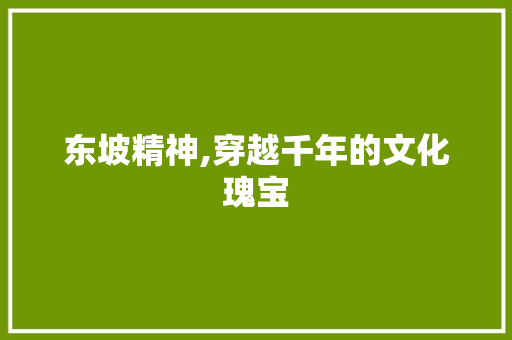 东坡精神,穿越千年的文化瑰宝