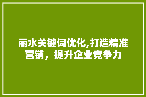 丽水关键词优化,打造精准营销，提升企业竞争力
