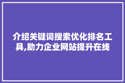 介绍关键词搜索优化排名工具,助力企业网站提升在线竞争力 网站开发