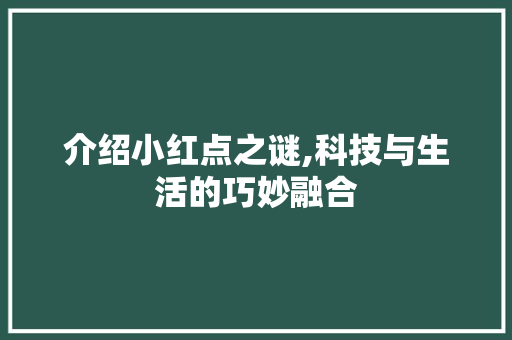 介绍小红点之谜,科技与生活的巧妙融合