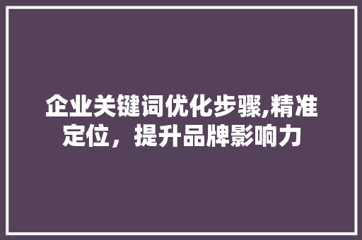 企业关键词优化步骤,精准定位，提升品牌影响力 英文谷歌算法