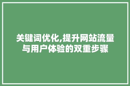 关键词优化,提升网站流量与用户体验的双重步骤