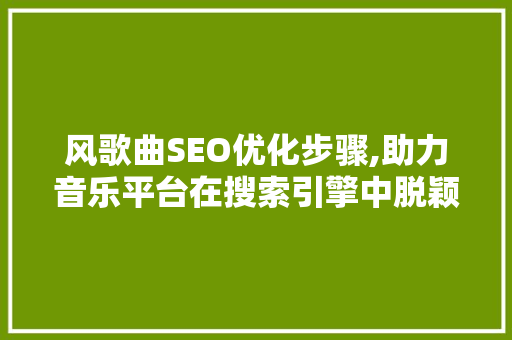 风歌曲SEO优化步骤,助力音乐平台在搜索引擎中脱颖而出