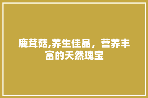 鹿茸菇,养生佳品，营养丰富的天然瑰宝