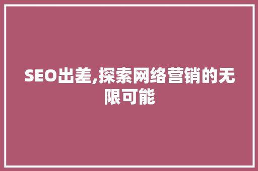 SEO出差,探索网络营销的无限可能 搜狗优化