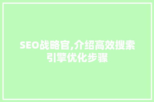 SEO战略官,介绍高效搜索引擎优化步骤