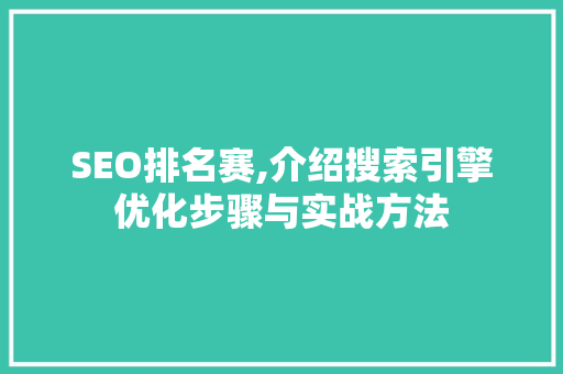 SEO排名赛,介绍搜索引擎优化步骤与实战方法 网站开发