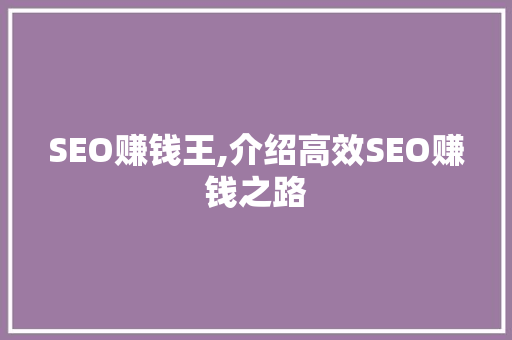 SEO赚钱王,介绍高效SEO赚钱之路