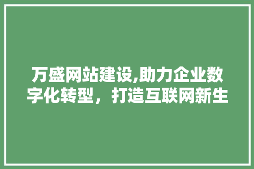 万盛网站建设,助力企业数字化转型，打造互联网新生态 百度算法