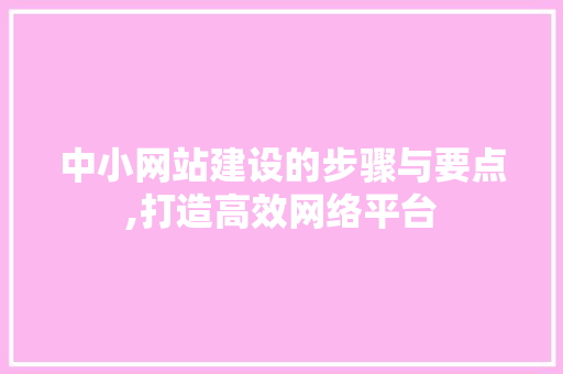 中小网站建设的步骤与要点,打造高效网络平台
