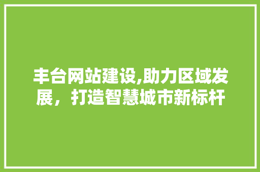 丰台网站建设,助力区域发展，打造智慧城市新标杆