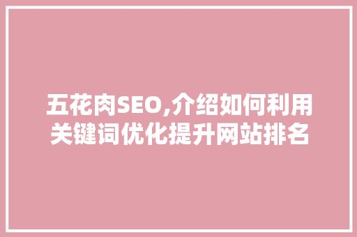 五花肉SEO,介绍如何利用关键词优化提升网站排名