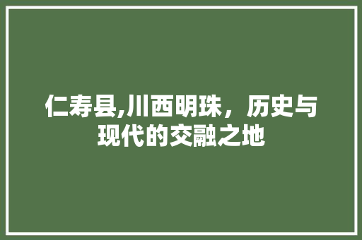 仁寿县,川西明珠，历史与现代的交融之地 网站开发