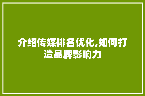 介绍传媒排名优化,如何打造品牌影响力
