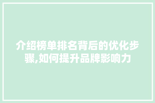 介绍榜单排名背后的优化步骤,如何提升品牌影响力