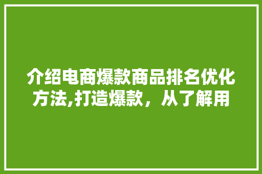 介绍电商爆款商品排名优化方法,打造爆款，从了解用户需求开始