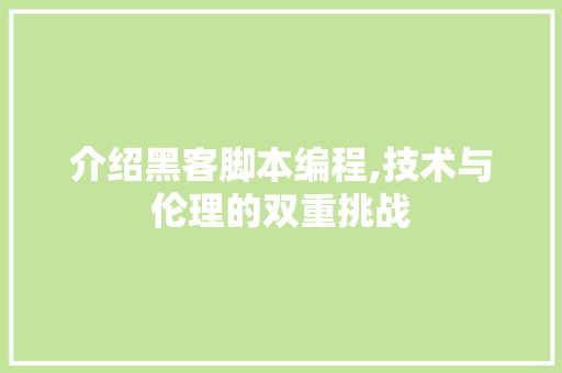 介绍黑客脚本编程,技术与伦理的双重挑战