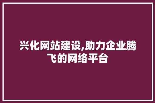 兴化网站建设,助力企业腾飞的网络平台 seo技术