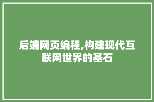 后端网页编程,构建现代互联网世界的基石
