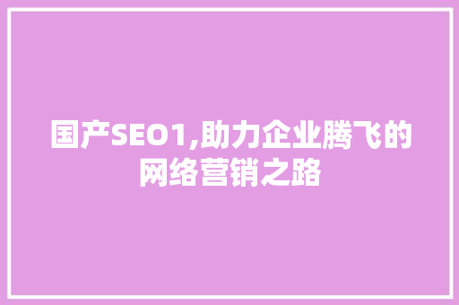 国产SEO1,助力企业腾飞的网络营销之路 搜狗优化