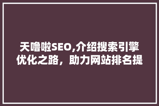 天噜啦SEO,介绍搜索引擎优化之路，助力网站排名提升