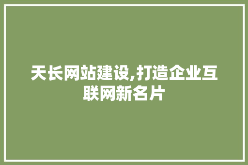 天长网站建设,打造企业互联网新名片